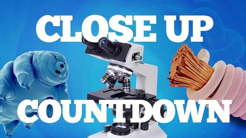 Closeup Countdown Video